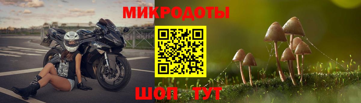 Псилоцибиновые грибы MAGIC MUSHROOMS  Вход с VPN  Елизово  Псилоцибиновые грибы ЛСД 